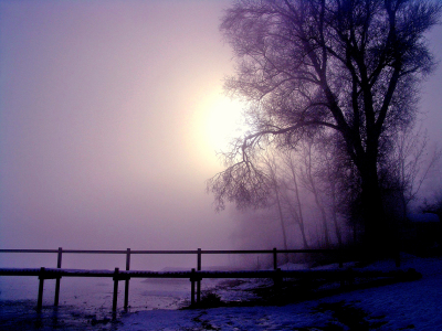 Bild-Nr: 9806726 Morgennebel Erstellt von: Socke