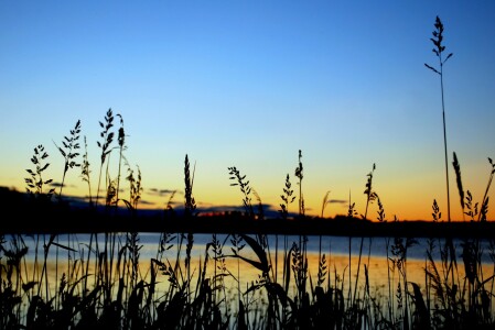 Bild-Nr: 9807096 Sonnenaufgang  Erstellt von: TinaDeFortunata