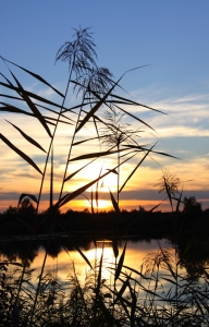 Bild-Nr: 9818836 Ein Abend am See Erstellt von: Renate Knapp