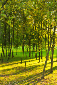 Bild-Nr: 9823356 Herbstfrische Erstellt von: LeonardoFranko