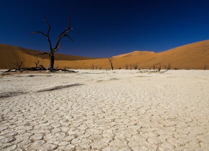 Bild-Nr: 9824644 Deadvlei Erstellt von: milo6779