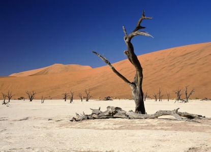 Bild-Nr: 9824668 Deadvlei Erstellt von: milo6779