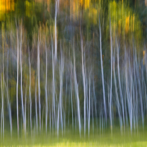 Bild-Nr: 9824906 Herbstwald Erstellt von: Franz Bogner