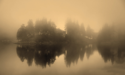 Bild-Nr: 9825266 Nebel am see Erstellt von: Gerhard Albicker