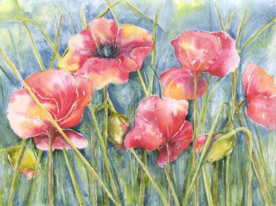 Bild-Nr: 9842680 Mohn Erstellt von: JitkaKrause