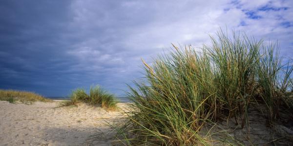 Bild-Nr: 9844288 Herbst am Strand von Schillig Erstellt von: MBuecker