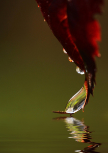 Bild-Nr: 9845044 Wasserspiele Erstellt von: Renate Knapp