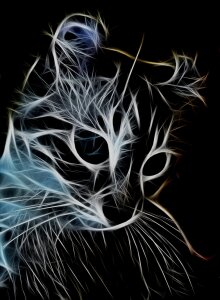 Bild-Nr: 9846134 Katze (fractal) Erstellt von: meerisusi