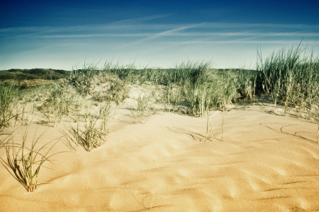 Bild-Nr: 9848672 Nordsee | Strand ~ 5 Erstellt von: Frank Wächter