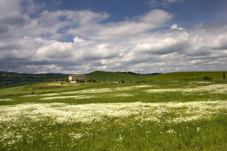 Bild-Nr: 9854134 frühling in der toskana Erstellt von: rokla