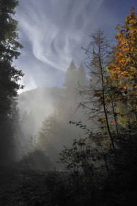 Bild-Nr: 9857882 Weg aus dem Nebel ins Licht Erstellt von: quelindo