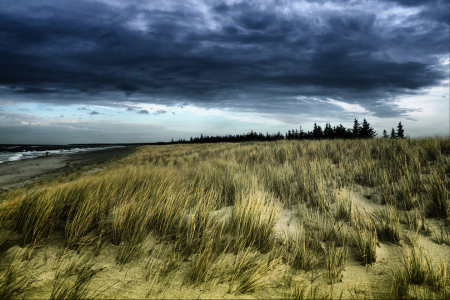 Bild-Nr: 9865552 Dramatic Dune Erstellt von: FotoDeHRO