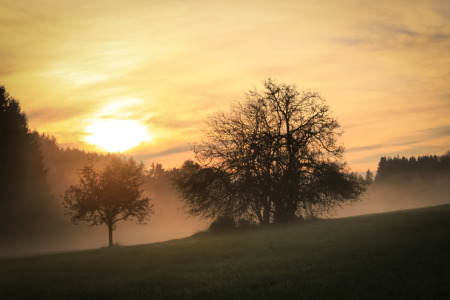 Bild-Nr: 9869232 Fog Erstellt von: Nykee