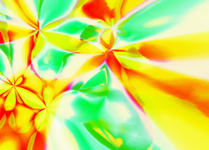 Bild-Nr: 9876522 Flower mit Power Erstellt von: Paintcast