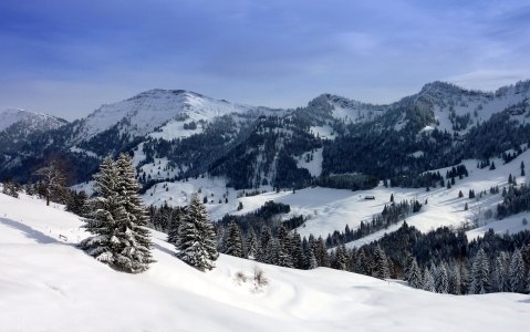 Bild-Nr: 9882294 Auf dem Berge Erstellt von: Renate Knapp