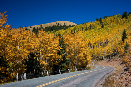 Bild-Nr: 9893470 herbst in new mexico Erstellt von: ralf kaiser