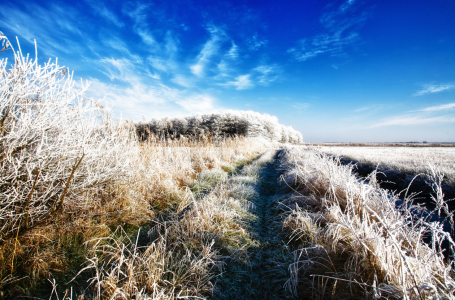 Bild-Nr: 9895956 Endlich Winter Erstellt von: Timo Geble