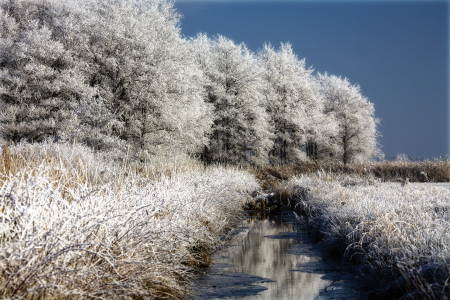 Bild-Nr: 9902248 Winterlandschaft Erstellt von: Timo Geble