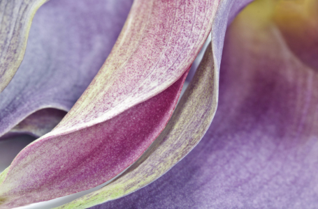 Bild-Nr: 9909884 kräftigere Pastellfarbkomposition Erstellt von: lightart