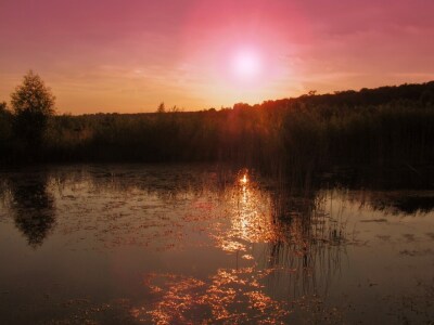 Bild-Nr: 9926208 Goldener See Erstellt von: Renate Knapp