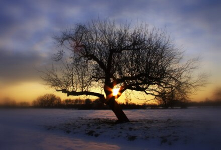 Bild-Nr: 9927984 Winterromantik Erstellt von: Renate Knapp