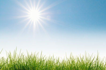 Bild-Nr: 9934558 Frühling Erstellt von: danielschoenen