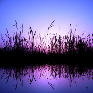 Bild-Nr: 9937581 Blue night at the lake Erstellt von: yammay