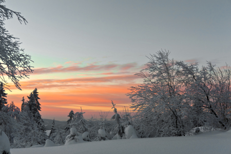 Bild-Nr: 9939349 Sonnenaufgang im Winter Erstellt von: Engelbengel