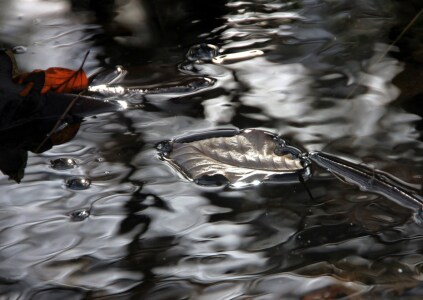 Bild-Nr: 9940293 Wasserimpressionen Erstellt von: Renate Knapp