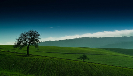 Bild-Nr: 9946017 Landschaft am Limes - Dasbach Erstellt von: Jan Domke