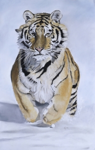 Bild-Nr: 9980264 Tiger im Schnee Erstellt von: suender-artworks