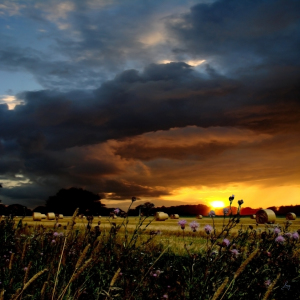 Bild-Nr: 9993485 Malerische Abendstimmung Erstellt von: yammay