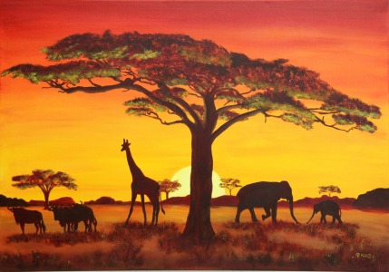Bild-Nr: 9993915 Sonnenuntergang in Afrika Erstellt von: Petra Koob
