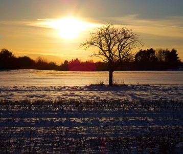 Bild-Nr: 9994019 Sunset-Field Erstellt von: Marion227