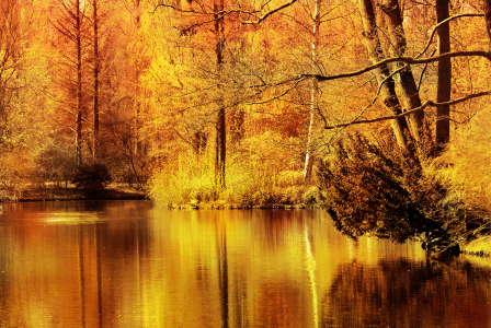 Bild-Nr: 10000657 Herbstfarben Erstellt von: Atteloi