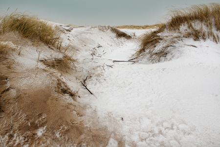 Bild-Nr: 10009423 Dünen im Winter Erstellt von: JuliArt