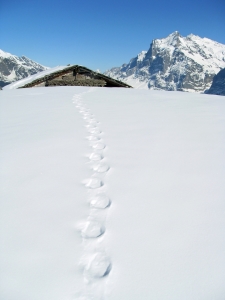 Bild-Nr: 10010701 Footprints Erstellt von: Bettina Schnittert