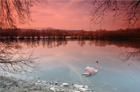 Bild-Nr: 10015263 Schwanensee Erstellt von: Erhard Hess