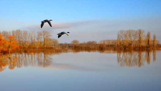 Bild-Nr: 10015689 Still ruht der See-verbessert Erstellt von: Erhard Hess