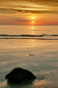 Bild-Nr: 10023209 Abendstimmung Erstellt von: gummistiefel