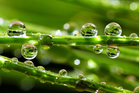 Bild-Nr: 10024501 Wassertropfen Erstellt von: gabii40