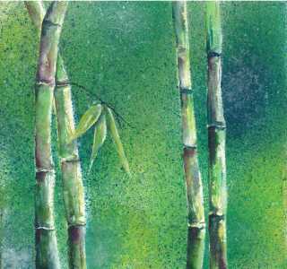 Bild-Nr: 10031851 Grüner Bambus Erstellt von: JitkaKrause