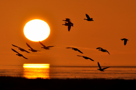 Bild-Nr: 10033015 Sonnenuntergang Erstellt von: Ostfriese