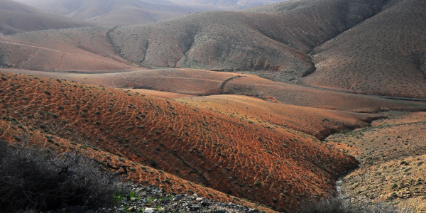 Bild-Nr: 10033615 Badlands auf Fuerteventura Erstellt von: Frank Rother