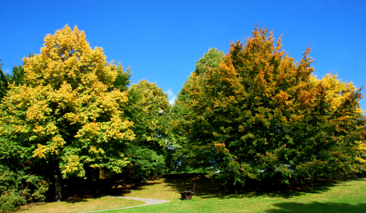 Bild-Nr: 10039661 Herbst im Park Erstellt von: Atteloi