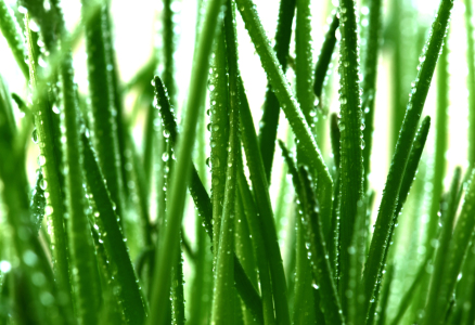 Bild-Nr: 10049015 Wassertropfen Erstellt von: Atteloi