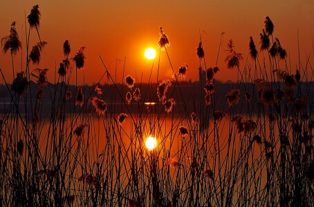 Bild-Nr: 10055281 Abendrot Erstellt von: Renate Knapp