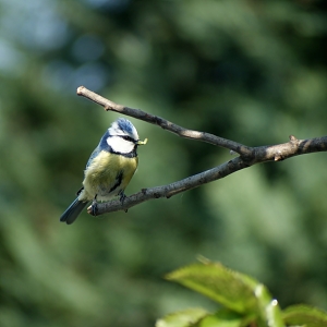 Bild-Nr: 10057845 Fratz Erstellt von: CRAZYHAWK