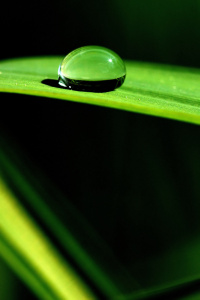 Bild-Nr: 10067765 Die Wasserperle Erstellt von: hunzitho