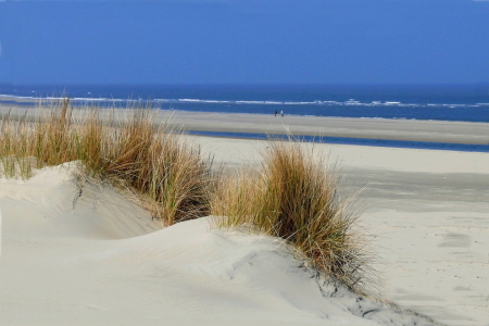 Bild-Nr: 10068603 Erholung am Meer Erstellt von: Ostfriese